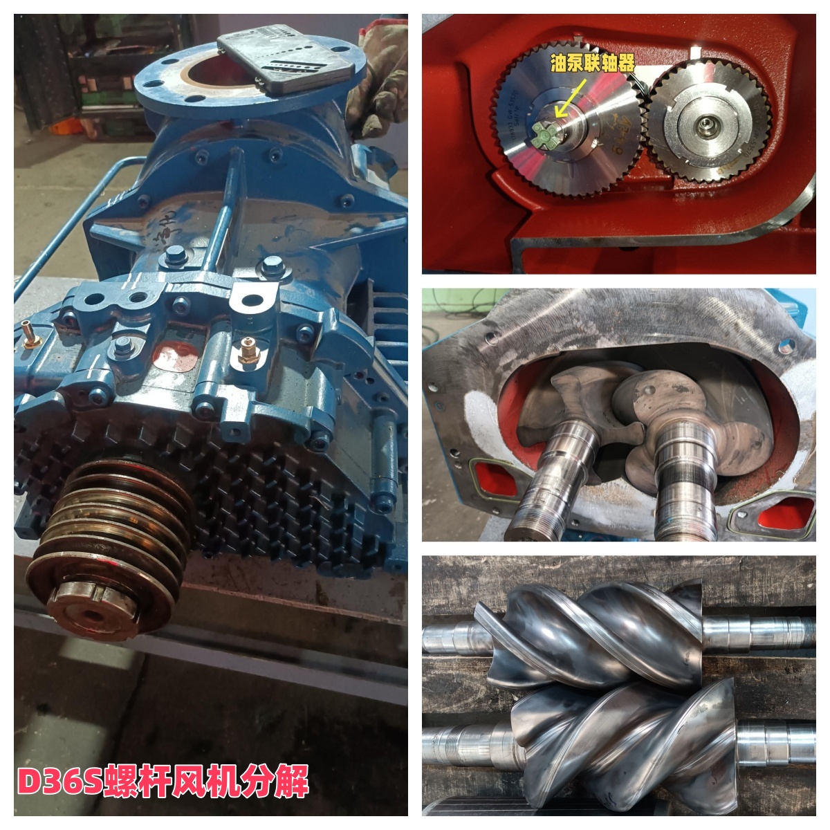 山東東營某凈化公司 艾珍D36S螺桿風機維修實例